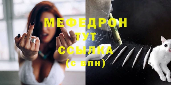 стаф Верея