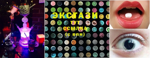 стаф Верея
