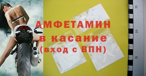 ГАЛЛЮЦИНОГЕННЫЕ ГРИБЫ Бородино