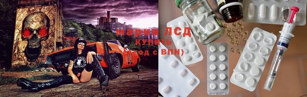 стаф Верея