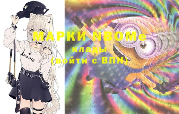 стаф Верея