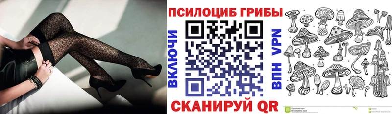 наркошоп Новоульяновск Псилоцибиновые грибы Psilocybine cubensis